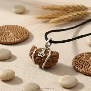 One Mukhi Rudraksha (Ek Mukhi Rudraksha)